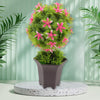 Wild Artificial Flower Plants with Cute Pot | Flower Plant for Home Office Decor | Tabletop and Desk Decoration | Artificial Flower for Balcony Indoor Decor, Plants for Living Room (1 Pc) Eshaan Traders