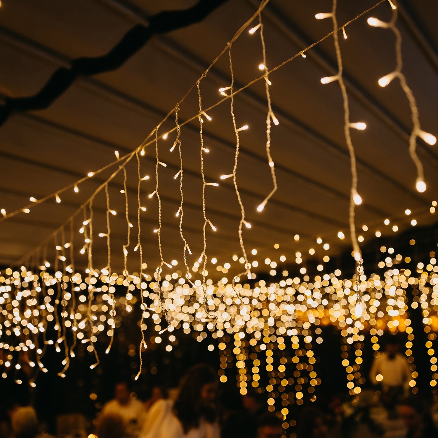 8334 Festive 3 Meter Festival Decoration Led String Light, Diwali Light for Indoor and Outdoor Uses in All Ocassion Birthday 1 Color Light  (16l 3Mtr) Eshaan Traders