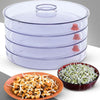 070 Plastic 4 Compartment Sprout Maker, White Eshaan Traders