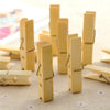 6071A Multipurpose Wooden Heavy Clip (20 Pieces) for Clothespin , Dryer, Hanger, Photo Paper Peg Pin, Craft Clips for School Arts Crafts Decoration Eshaan Traders