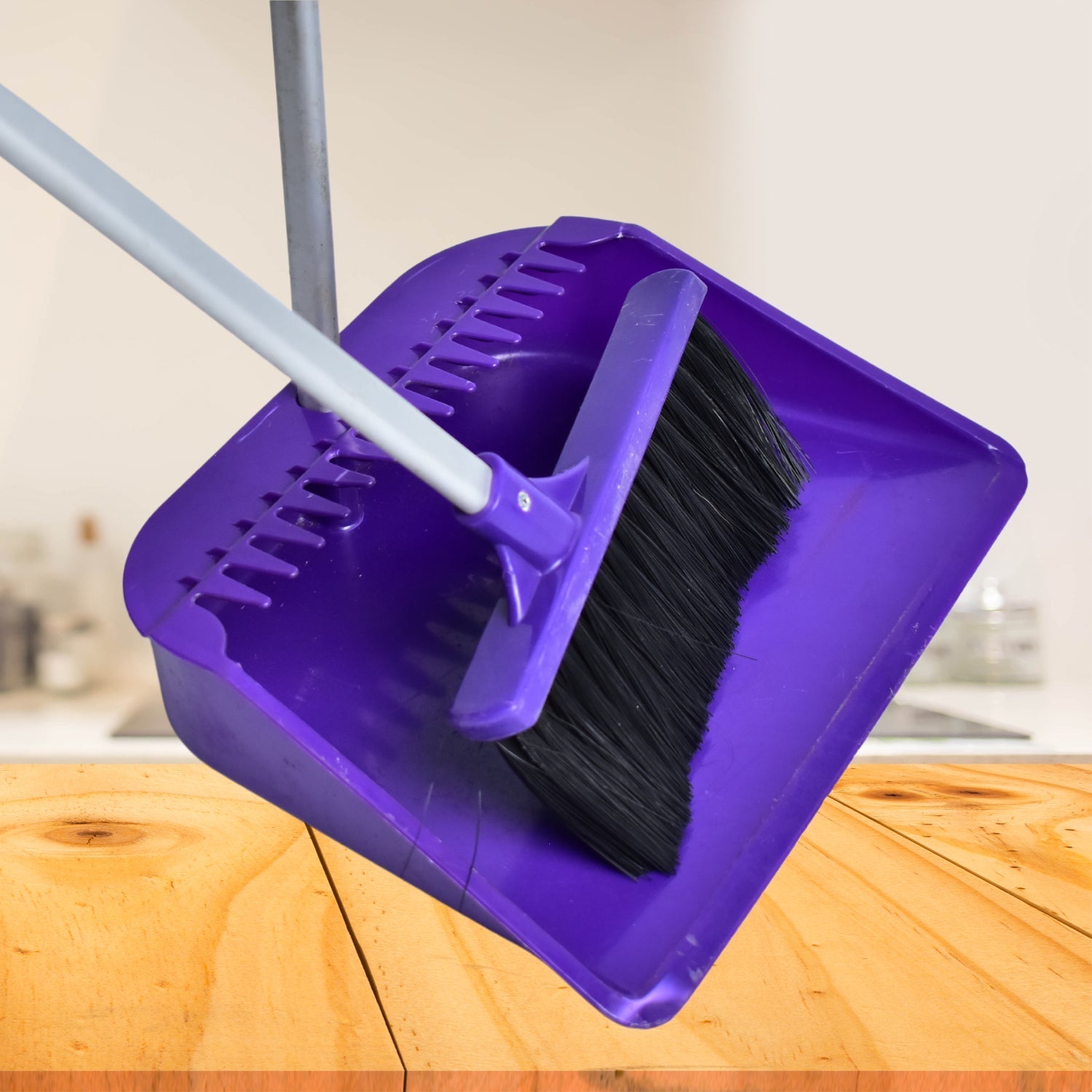 0627 Long Handle Dustpan and Brush 2 Piece Set for Sweeping Cleaning Home Office Eshaan Traders