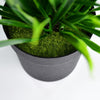 4936 Artificial Potted Plant with Pot DeoDap