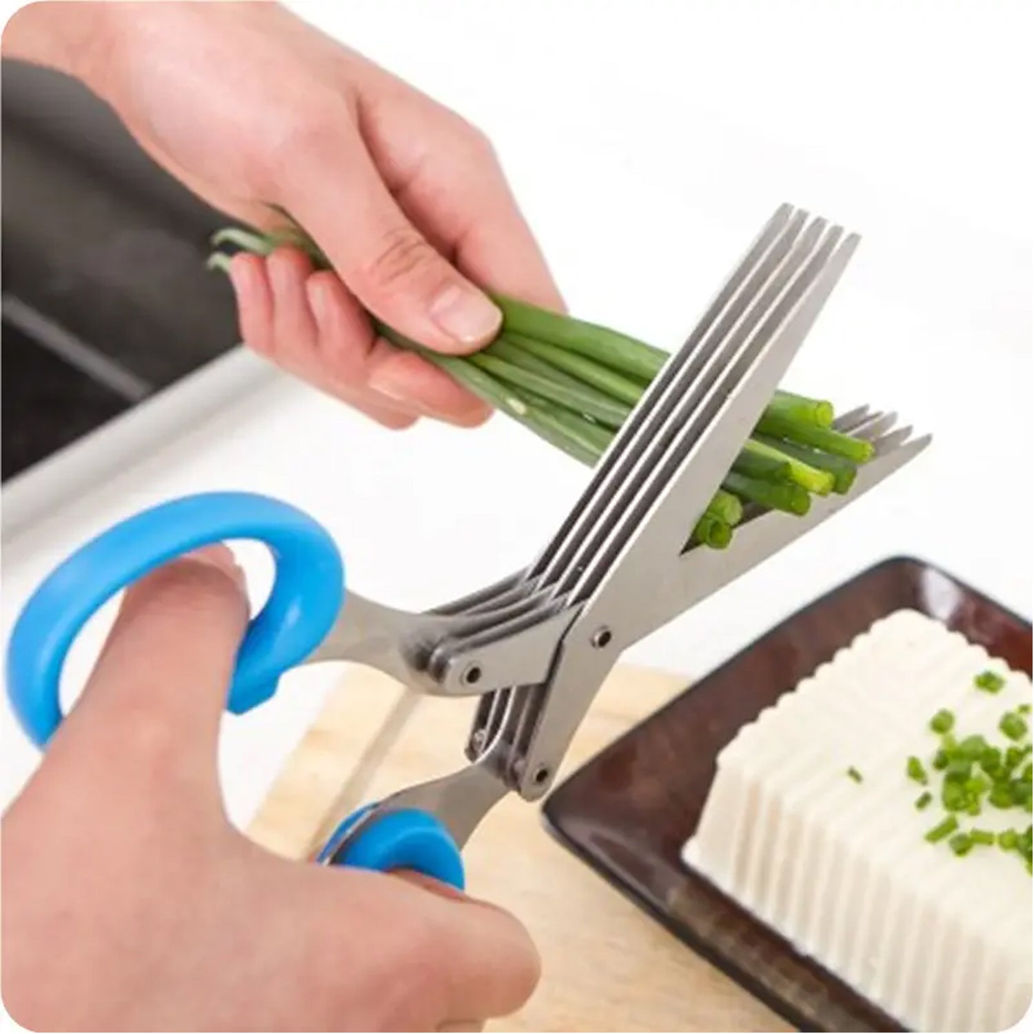 1564 Multifunction Vegetable Stainless Steel Herbs Scissor with 3 Blades Eshaan Traders