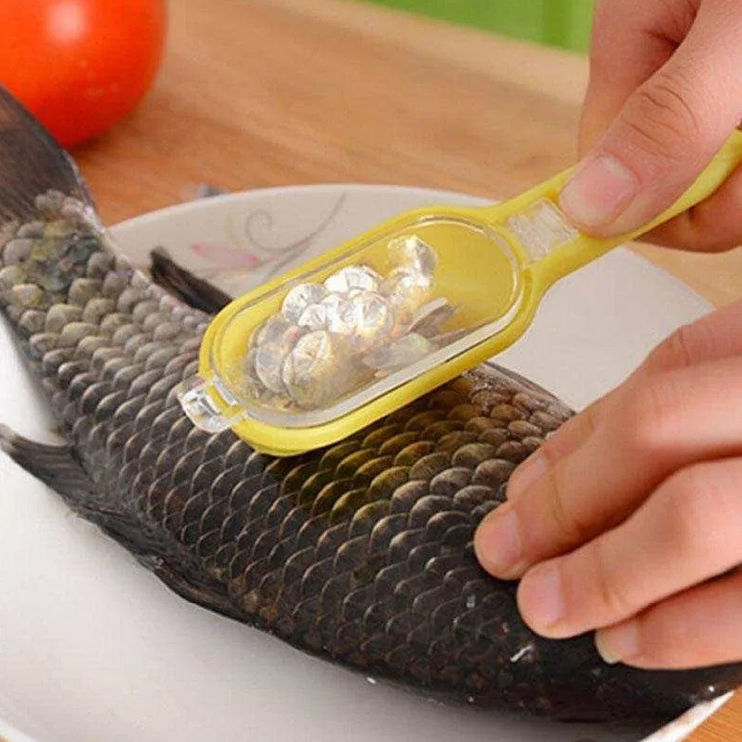 0112 Plastic Fish Scales Graters Scraper, Fish Skin Brush Fish Cleaning Tool Scraping Scales Device with Cover Home Kitchen Cooking Tools 1 Pieces Eshaan Traders