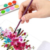 1123 Painting Water Color Kit - 12 Shades and Paint Brush (13 Pcs) DeoDap