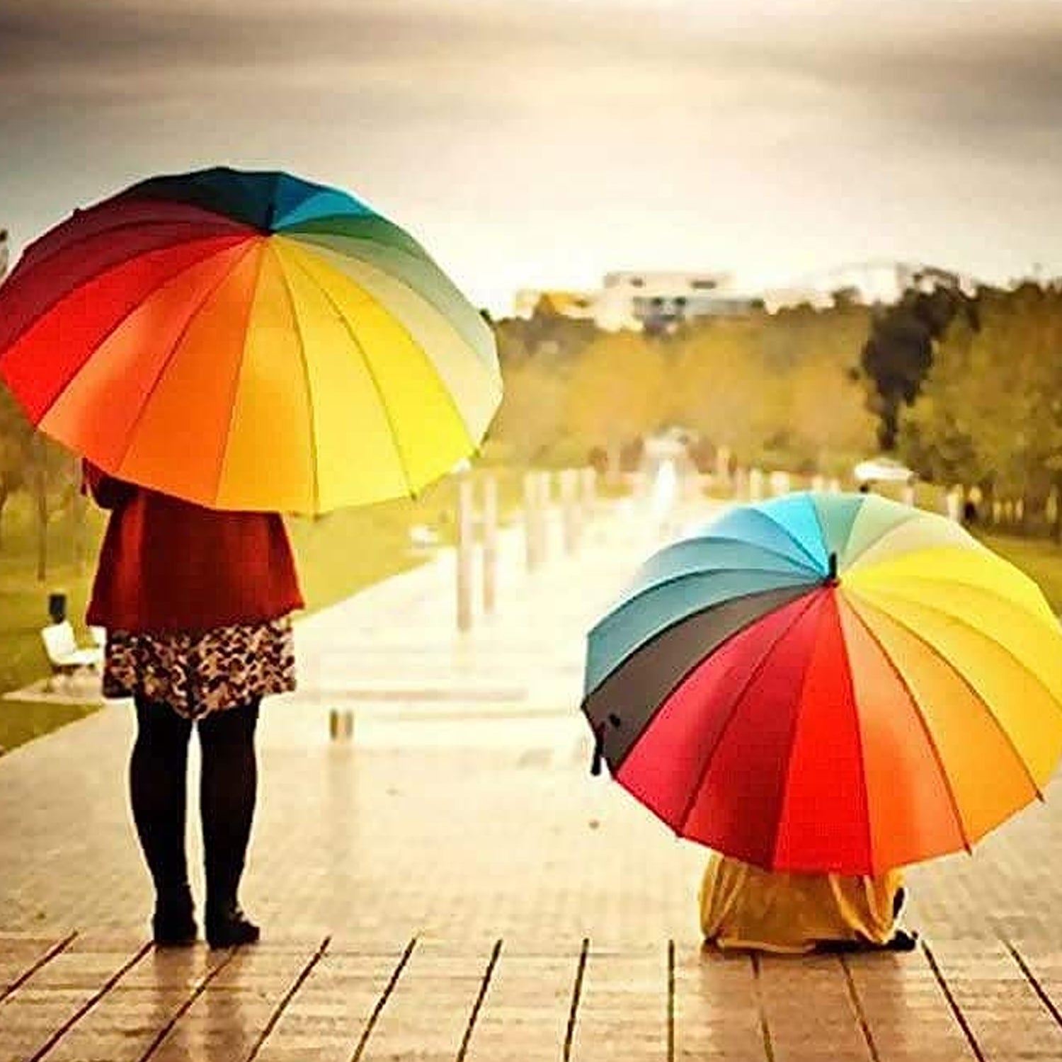 9105 Rainbow Umbrella for Men & Women (Multicolor) Eshaan Traders