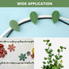 Plant Climbing Wall Fixture Clip Self-Adhesive Hook Vines Traction Invisible Stand Green Plant Clip Garden Wall Clip Plant Support Binding Clip Plants for Indoor Outdoor Decoration (30 Pcs Set) Eshaan Traders