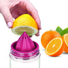 2414  CITRUS JUICER BOTTLE INSTANT JUICE SPORTS BOTTLE  JUICE MAKER INFUSER BOTTLE Eshaan Traders