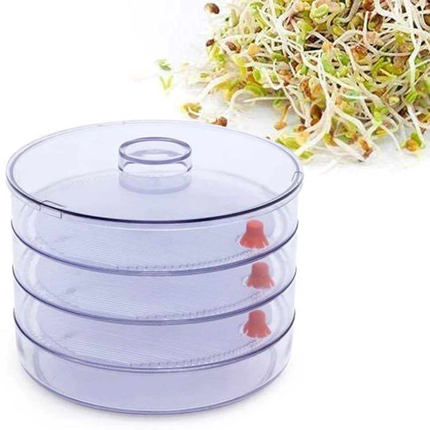 070 Plastic 4 Compartment Sprout Maker, White Eshaan Traders