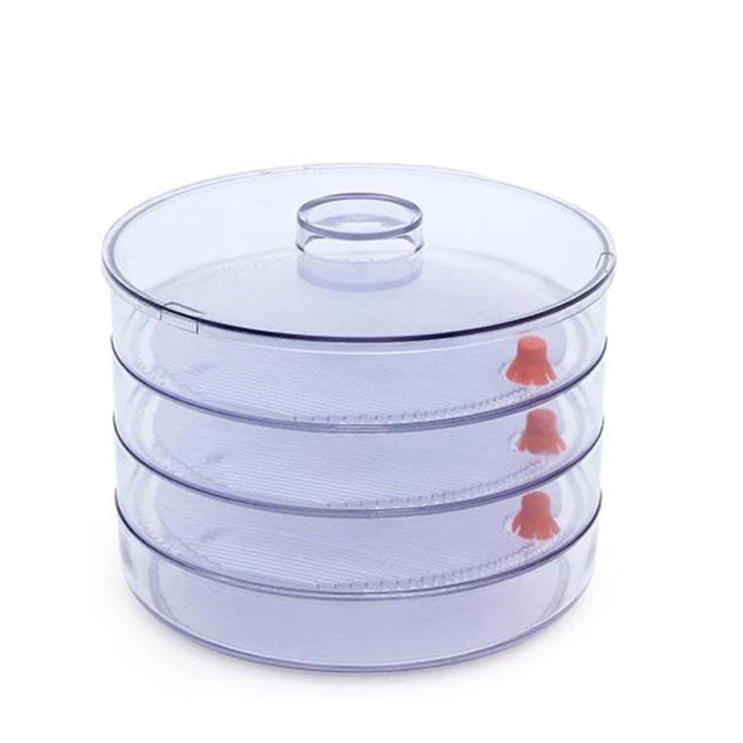 070 Plastic 4 Compartment Sprout Maker, White Eshaan Traders