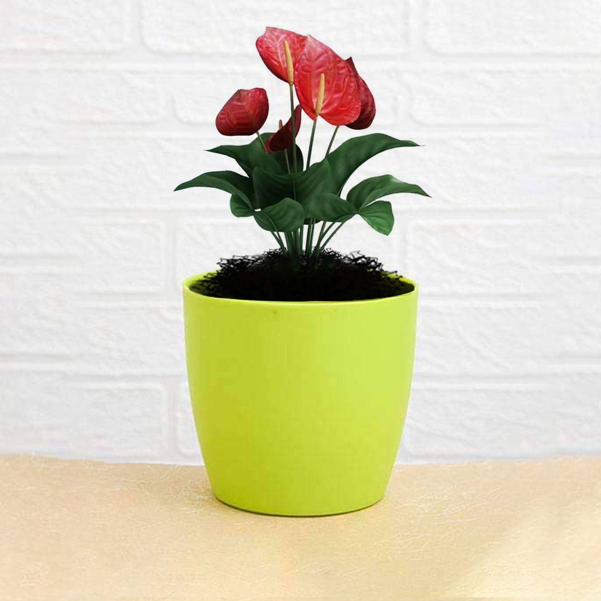 1191 Flower Pots Round Shape For Indoor/Outdoor Gardening DeoDap