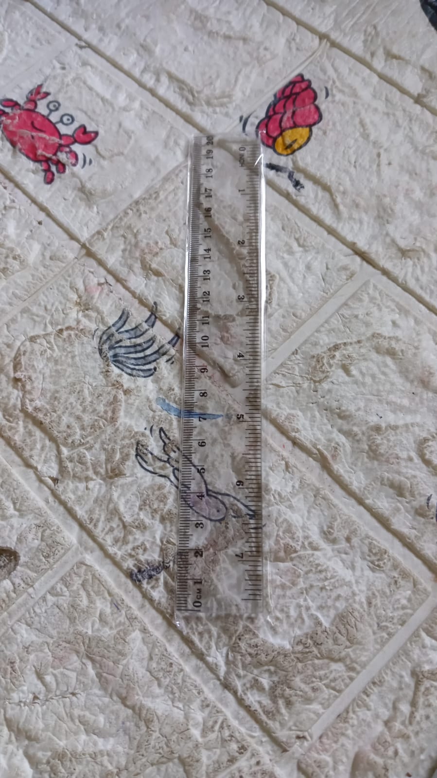 4840 20Cm Ruler For Student Purposes While Studying And Learning In Schools And Homes Etc. (1Pc) Eshaan Traders