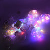 3388 8 Feet 12 Wish Heart Ball String LED Lights With Color Box for Home Decoration, Diwali & Wedding LED Christmas Light Indoor and Outdoor Light ,Festival Decoration (Wishing Ball Multicolor) Eshaan Traders