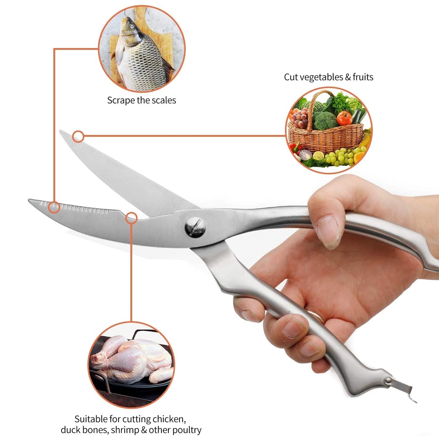 5206 Heavy Duty Stainless Steel Poultry Shears, Premium Ultra Sharp Spring-Loaded Kitchen Eshaan Traders