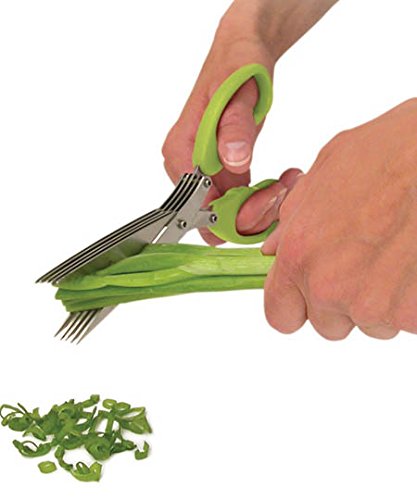 1651 MULTIFUNCTION VEGETABLE STAINLESS STEEL HERBS SCISSOR WITH 5 BLADES Eshaan Traders