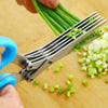 1651 MULTIFUNCTION VEGETABLE STAINLESS STEEL HERBS SCISSOR WITH 5 BLADES Eshaan Traders