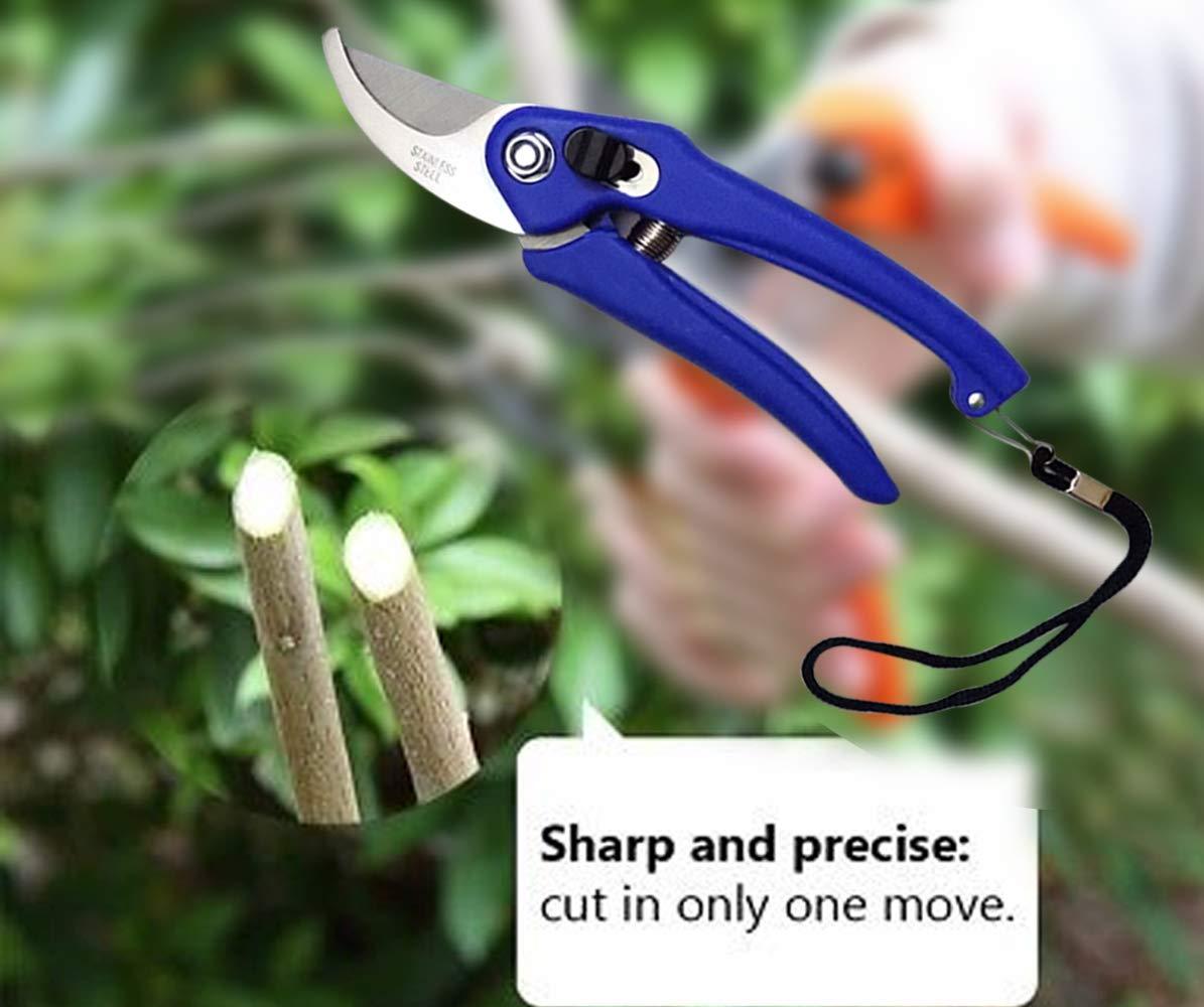 0465 Stainless Steel Garden Scissors Eshaan Traders