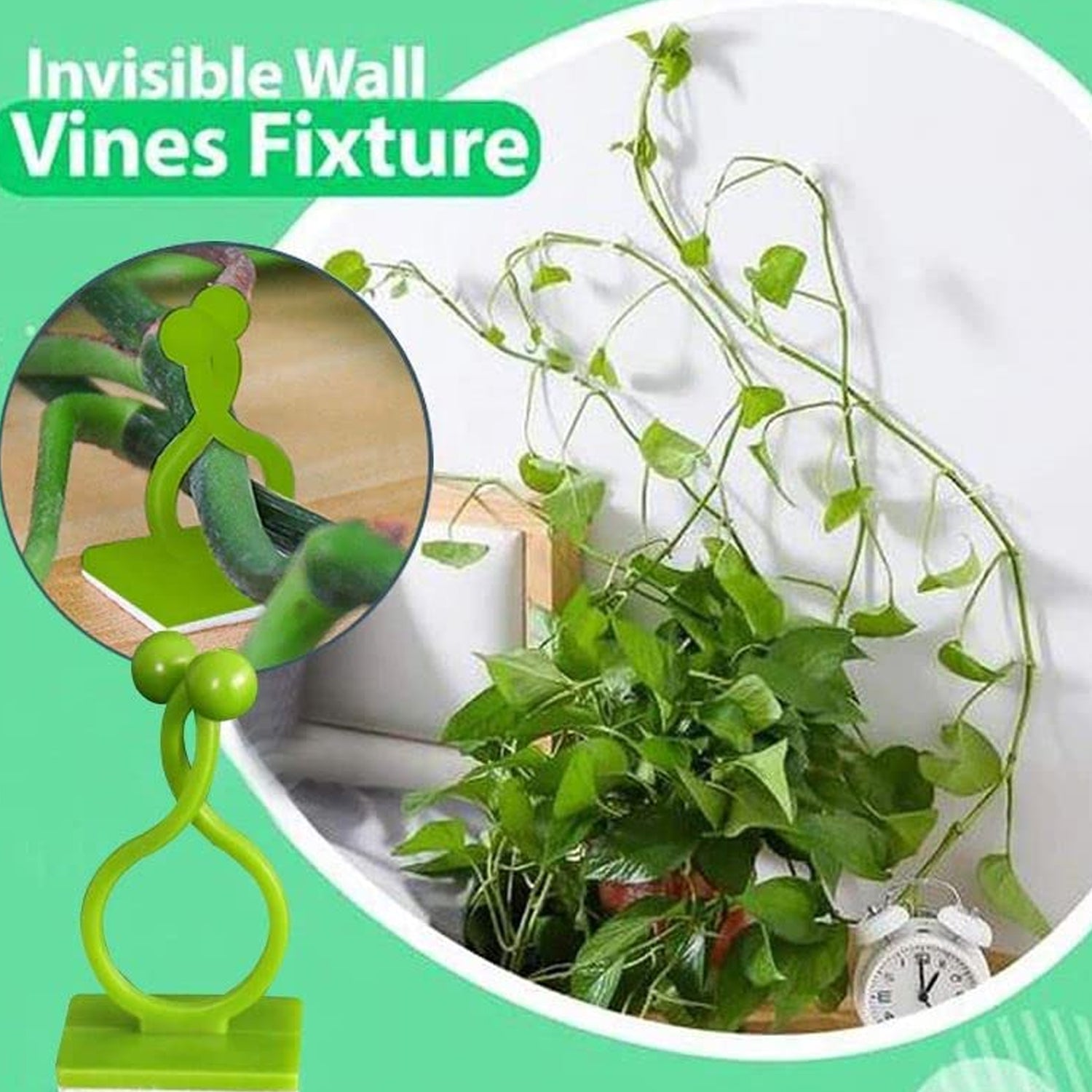 6156L Plant Climbing Wall Clips Self-Adhesive Money Plant Support Clips Vine Plant Climbing Fixing Clip DeoDap