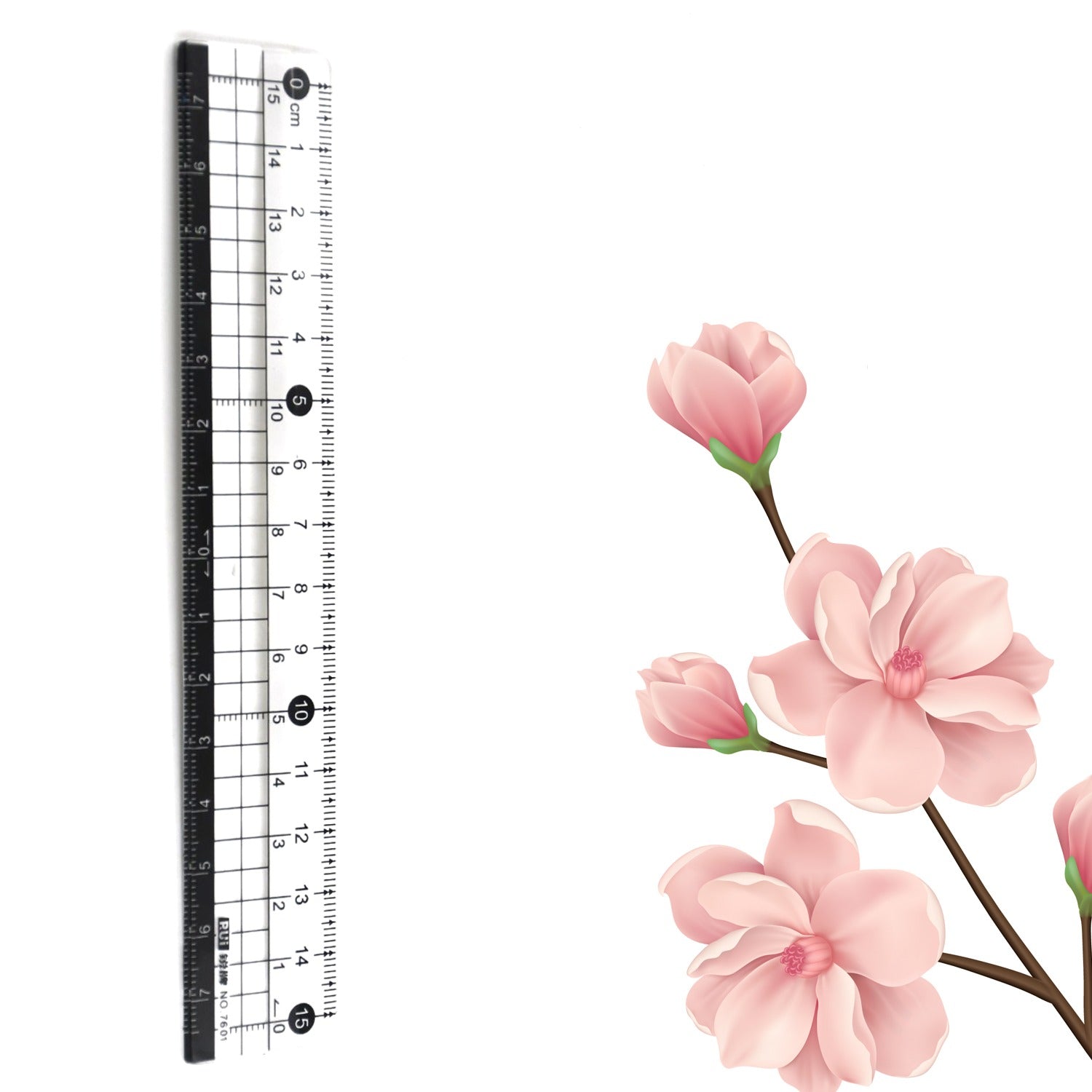 7921  TRANSPARENT RULER, PLASTIC RULERS, FOR SCHOOL CLASSROOM, HOME, OR OFFICE (15 Cm) Eshaan Traders