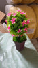 Wild Artificial Flower Plants with Cute Pot | Flower Plant for Home Office Decor | Tabletop and Desk Decoration | Artificial Flower for Balcony Indoor Decor, Plants for Living Room (1 Pc) Eshaan Traders